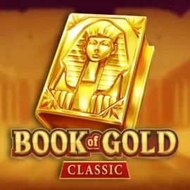 game logo by Playson on vegasinoau.com