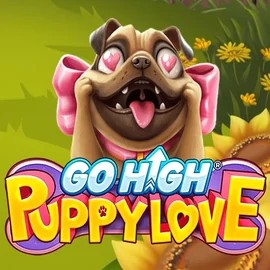 game logo by RubyPlay on vegasinoau.com